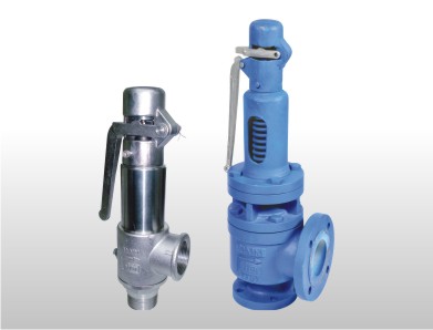 Safety Valve